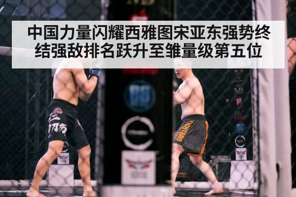 MMA cage fight