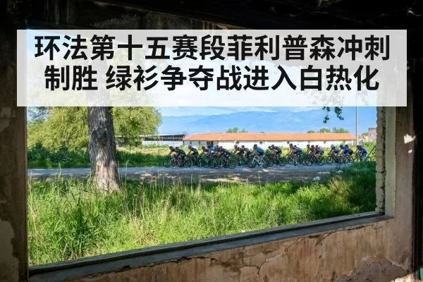 tour de france peloton